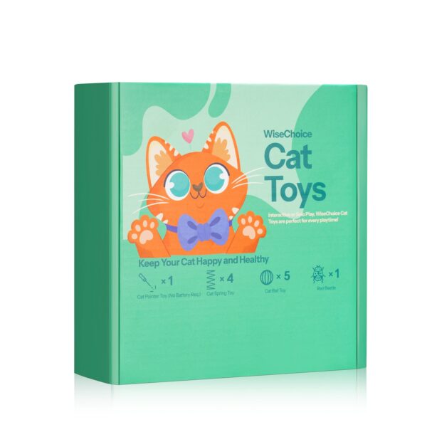 Cat Toys